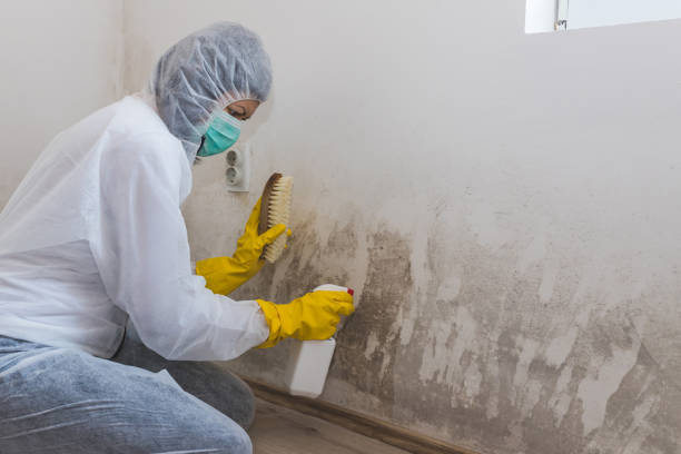 Best Mold Cleaning Services  in Sconsin Dells, WI